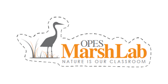 Laminated Vinyl Marsh Lab Sticker